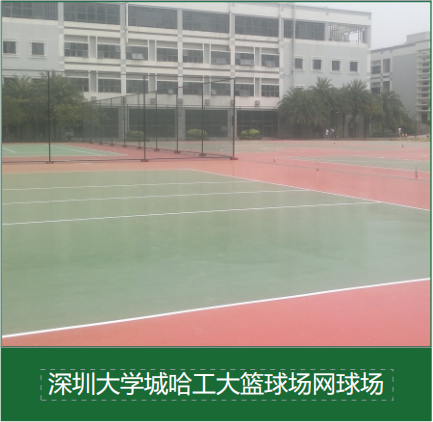 新闻资讯