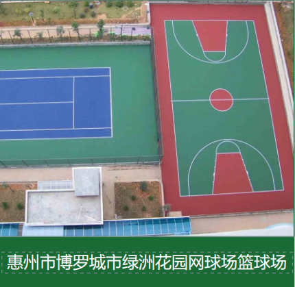 新闻资讯