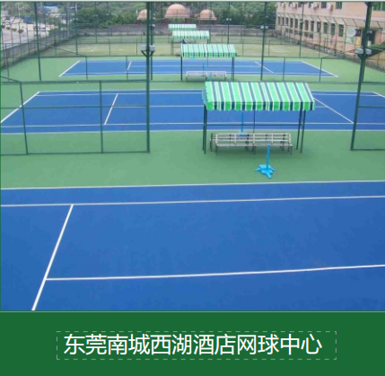 新闻资讯